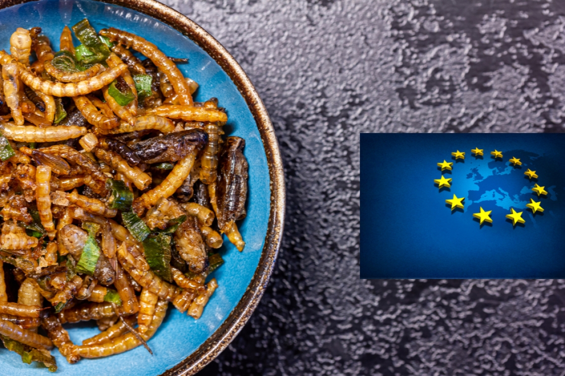 Ο ζωοτέχνης Αντώνης Κάμπουρας μιλάει για την νέα τάση της κατανάλωσης εντόμων